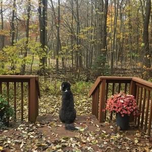 Meet your Posher, Janet